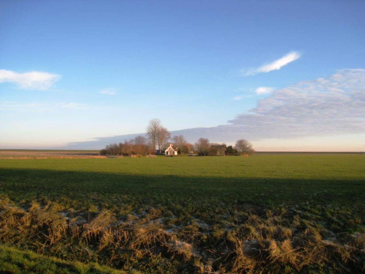 Haus Kormoran Am Lauwersmeer 175 Anjum Bagian luar foto